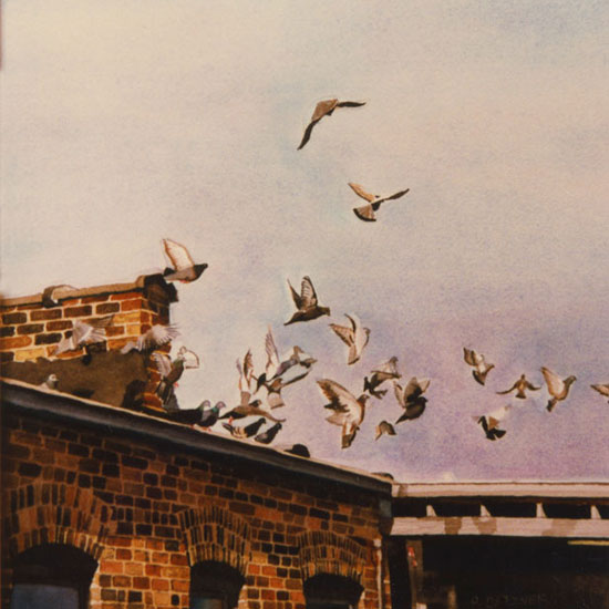 group of pigeons taking flight from a rooftop