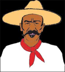 Mexican man with broad sombrero, mustache and beard